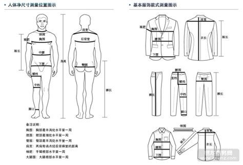 人 肩寬|成年人的的肩宽是多少？